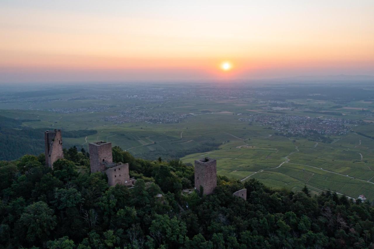 Studio Des 3 Chateaux Husseren-les-Châteaux المظهر الخارجي الصورة